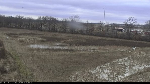 Cell 2_24-03-09_15-20-37-19