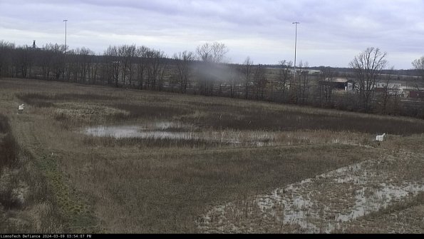 Cell 2_24-03-09_15-54-08-17