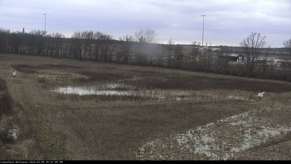 Cell 2_24-03-09_17-01-07-17