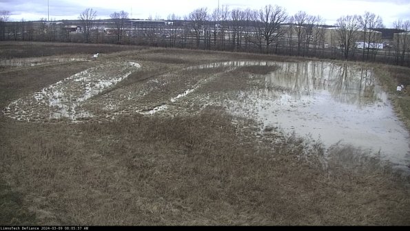 Cell 3_24-03-09_08-05-38-15