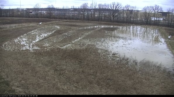 Cell 3_24-03-09_08-39-07-16