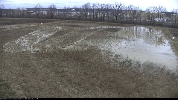 Cell 3_24-03-09_09-12-37-14