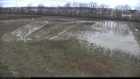 Cell 3_24-03-09_12-00-05-12