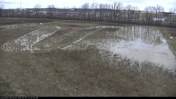 Cell 3_24-03-09_12-33-34-14