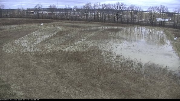 Cell 3_24-03-09_13-07-04-12