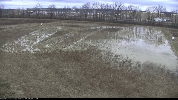 Cell 3_24-03-09_13-40-34-14