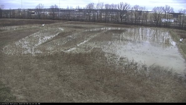 Cell 3_24-03-09_14-47-36-14