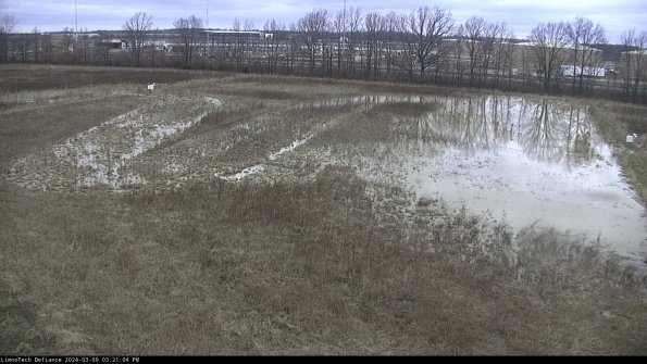 Cell 3_24-03-09_15-21-05-15