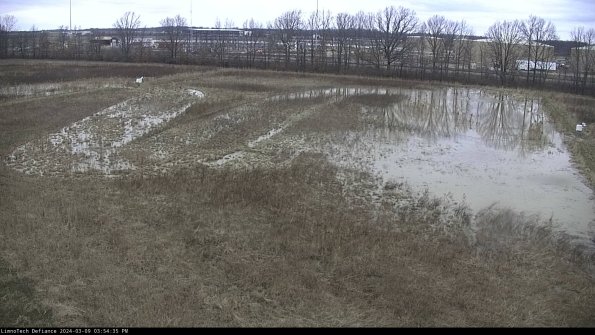 Cell 3_24-03-09_15-54-36-13