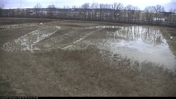 Cell 3_24-03-09_17-01-34-36