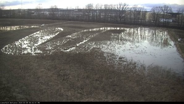 Cell 3_24-03-09_18-42-02-14