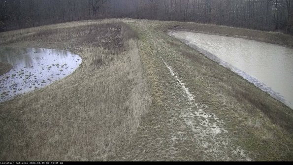 Cell 4 to Basin_24-03-09_07-33-06-13