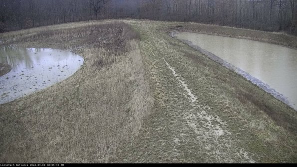 Cell 4 to Basin_24-03-09_08-06-36-14