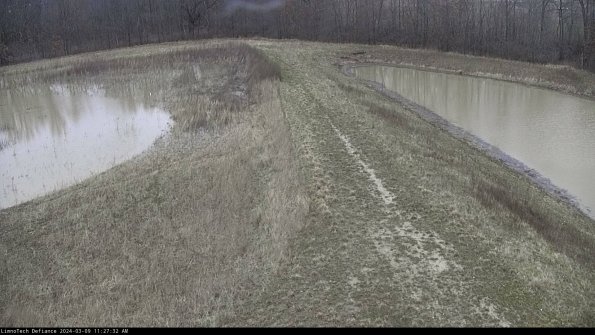 Cell 4 to Basin_24-03-09_11-27-33-16