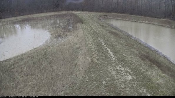 Cell 4 to Basin_24-03-09_12-01-03-15