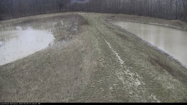 Cell 4 to Basin_24-03-09_13-08-02-14