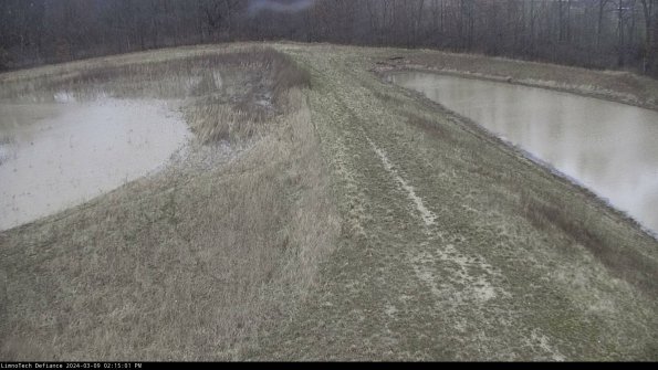 Cell 4 to Basin_24-03-09_14-15-02-14