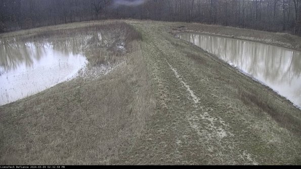 Cell 4 to Basin_24-03-09_14-32-59-16