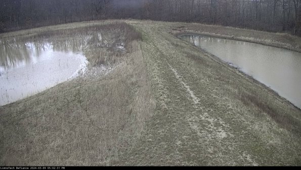 Cell 4 to Basin_24-03-09_17-02-32-15