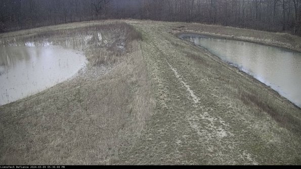 Cell 4 to Basin_24-03-09_17-36-01-13