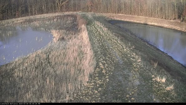 Cell 4 to Basin_24-03-09_18-09-30-15