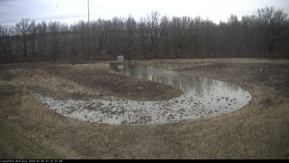 Cell 4_24-03-09_07-32-36-13