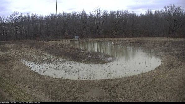 Cell 4_24-03-09_08-39-35-12