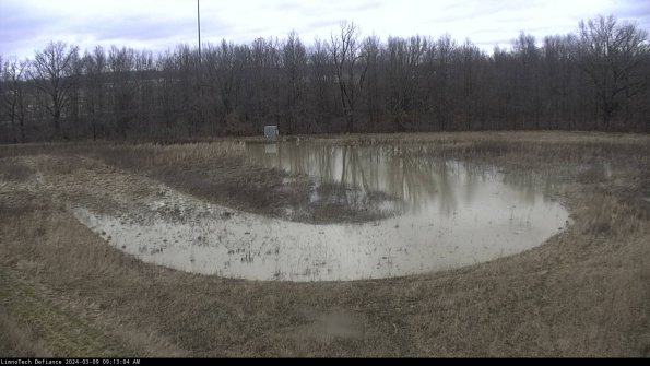 Cell 4_24-03-09_09-13-05-14