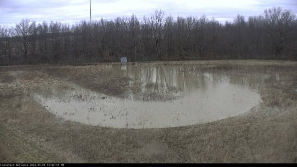 Cell 4_24-03-09_12-00-33-15