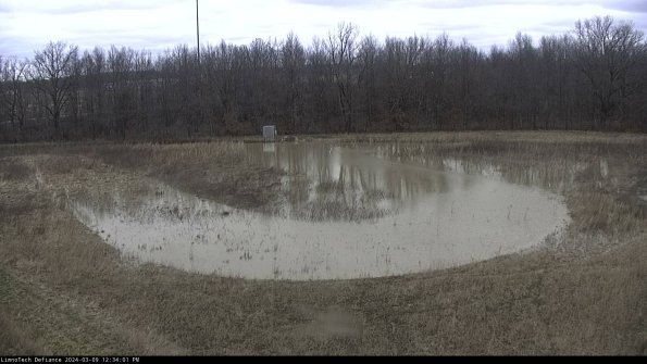 Cell 4_24-03-09_12-34-02-13