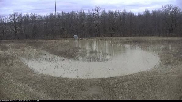 Cell 4_24-03-09_13-07-32-15