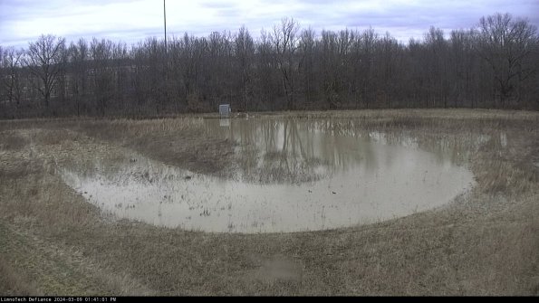 Cell 4_24-03-09_13-41-02-13