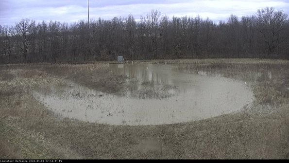 Cell 4_24-03-09_14-14-32-11