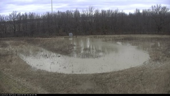 Cell 4_24-03-09_14-48-04-13