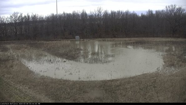 Cell 4_24-03-09_15-55-04-13