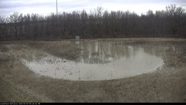 Cell 4_24-03-09_16-28-33-14