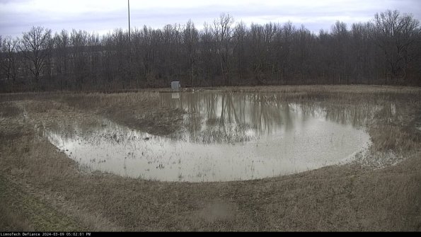 Cell 4_24-03-09_17-02-02-16