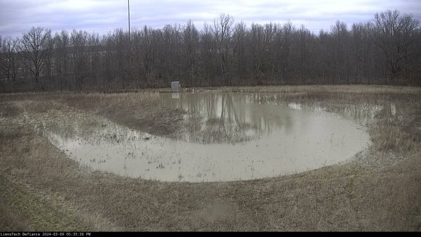 Cell 4_24-03-09_17-35-31-14