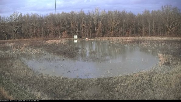 Cell 4_24-03-09_18-09-00-15