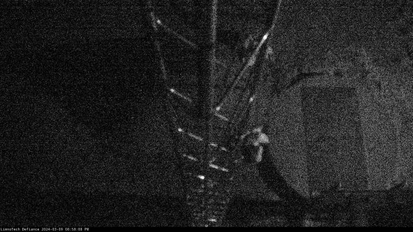 Hatch_24-03-09_20-58-09-15