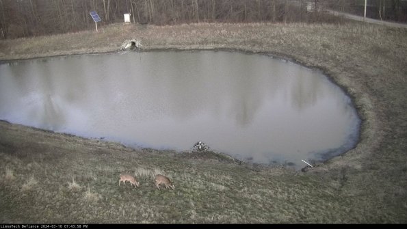 Basin Right_24-03-10_19-43-59-15