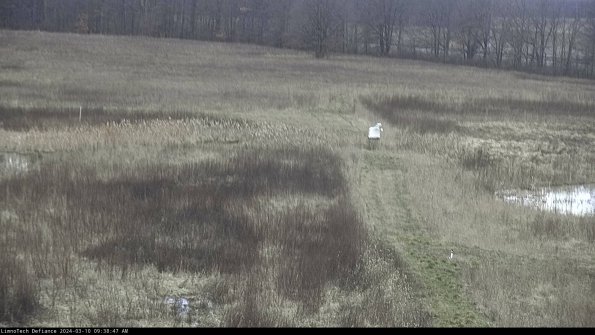 Cell 1 to 2_24-03-10_09-38-48-15