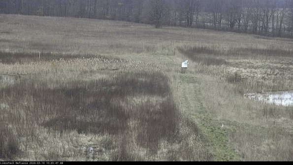 Cell 1 to 2_24-03-10_10-45-48-14