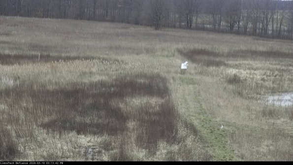 Cell 1 to 2_24-03-10_15-13-43-12