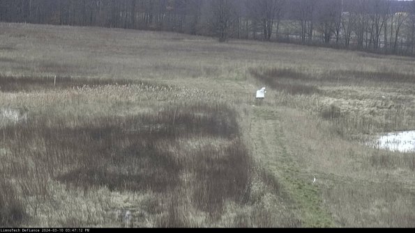 Cell 1 to 2_24-03-10_15-47-13-10