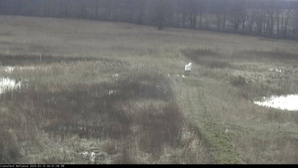 Cell 1 to 2_24-03-10_18-01-09-13