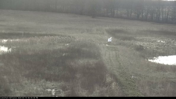 Cell 1 to 2_24-03-10_18-34-39-15