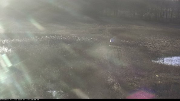 Cell 1 to 2_24-03-10_19-08-09-13