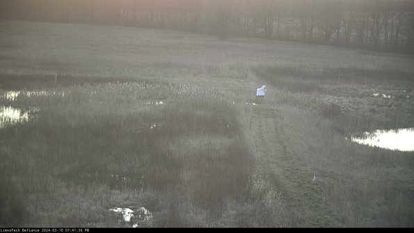 Cell 1 to 2_24-03-10_19-41-37-14