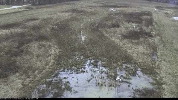 Cell 1_24-03-10_12-26-03-14